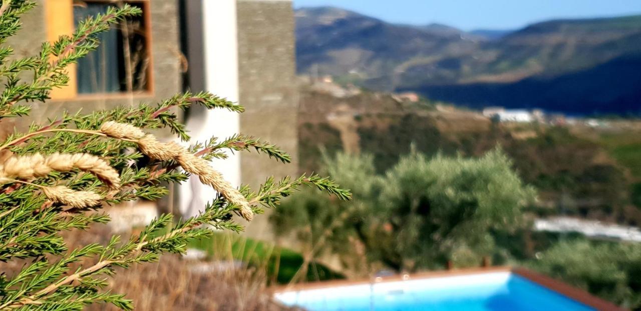 Casa Do Arco By Douro Exclusive Bed & Breakfast Sao Cristovao do Douro Exterior foto